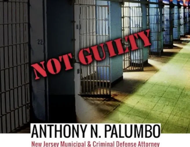 The Law Offices of Anthony N. Palumbo 2