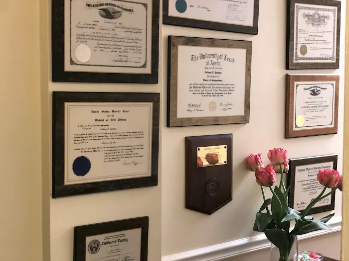 The Law Offices of Anthony N. Palumbo 0