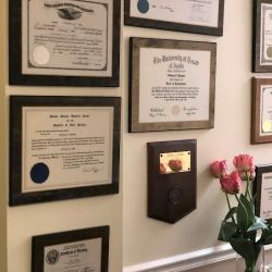 The Law Offices of Anthony N. Palumbo ico