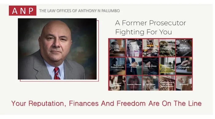 The Law Offices of Anthony N. Palumbo 5