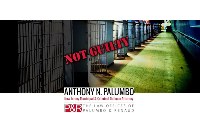 The Law Offices of Anthony N. Palumbo 7