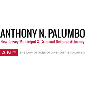 The Law Offices of Anthony N. Palumbo 8