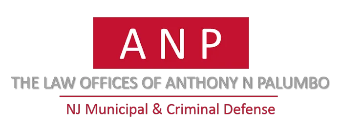 The Law Offices of Anthony N. Palumbo 3