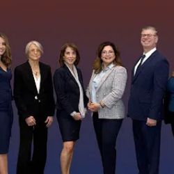 SeidenFreed LLC ico