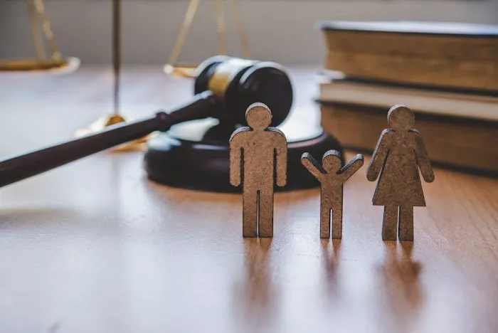 Michael R. Shulman- Attorney at Law, LLC 1