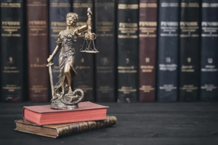 Vivian Demas Attorney at Law 3
