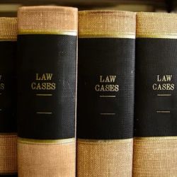 Law Offices of Steven H. Fleischer, LLC ico