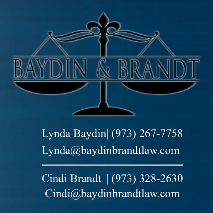 Baydin & Brandt 2