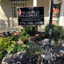 Scartelli Olszewski, P.C. ico