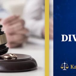 Kalinoski Law Offices P.C. ico