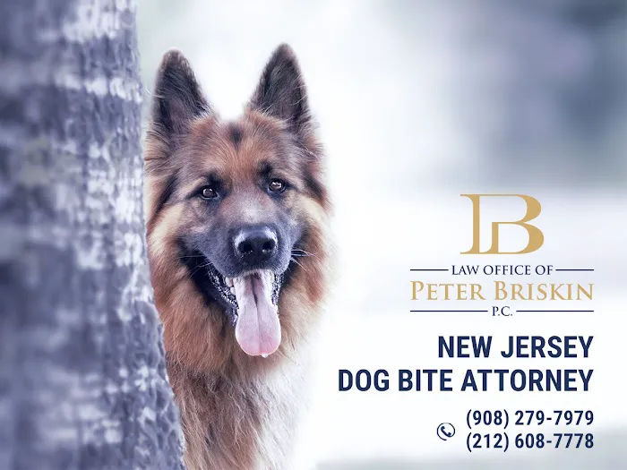 Law Office of Peter Briskin – NJ Injury & Accident Attorney 7