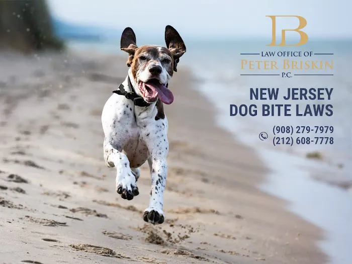 Law Office of Peter Briskin – NJ Injury & Accident Attorney 2