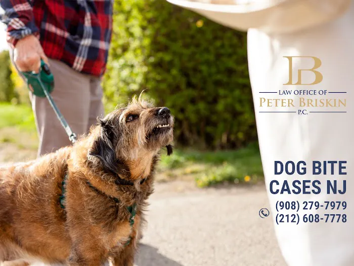Law Office of Peter Briskin – NJ Injury & Accident Attorney 1