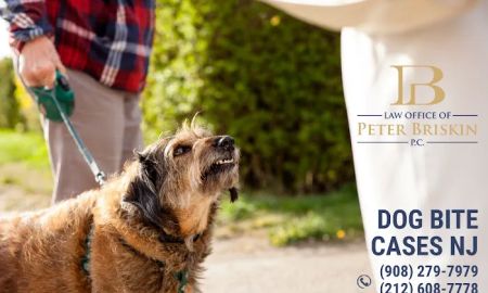 Law Office of Peter Briskin – NJ Injury & Accident Attorney