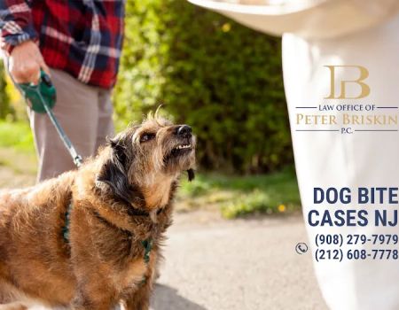 Law Office of Peter Briskin – NJ Injury & Accident Attorney