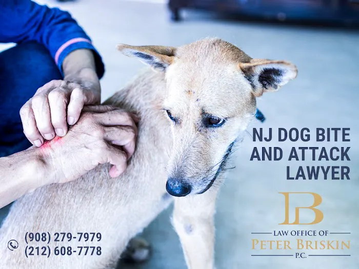 Law Office of Peter Briskin – NJ Injury & Accident Attorney 8