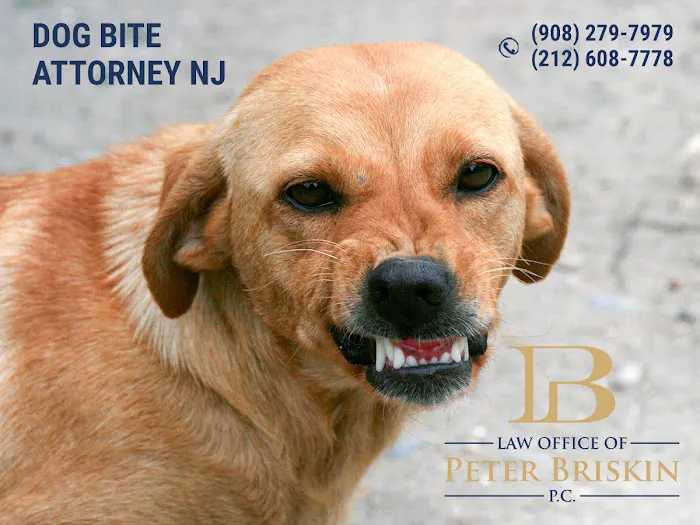 Law Office of Peter Briskin – NJ Injury & Accident Attorney 9