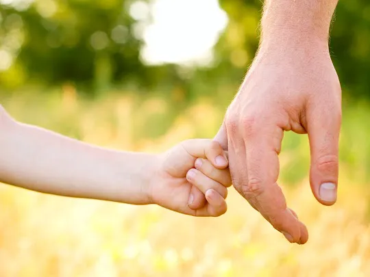 Eveland & Foster Family Law 0