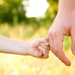Eveland & Foster Family Law ico