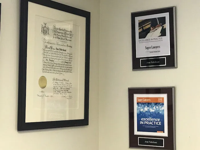 Fabrikant Law, LLC 1