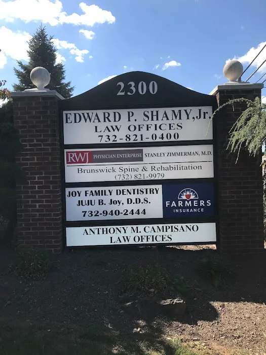 Law Offices of Anthony M. Campisano, Esq. 1