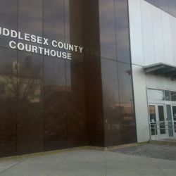 McGuckin Law, L.L.C. ico