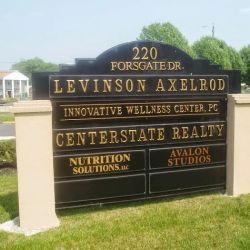 Levinson Axelrod, P.A. ico