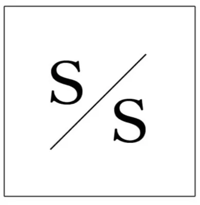 Schatz & Stancu LLP 0