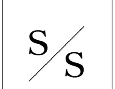 Schatz & Stancu LLP