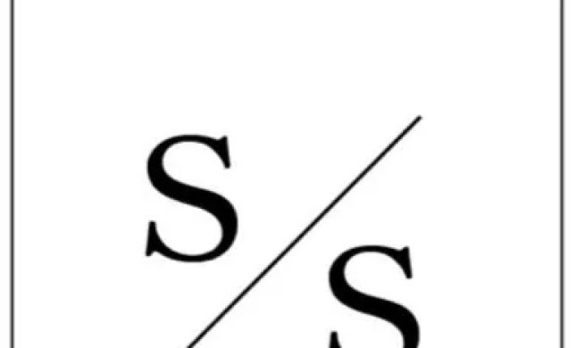 Schatz & Stancu LLP