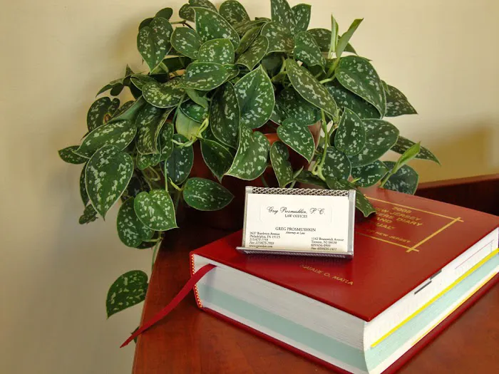 Law Offices of Greg Prosmushkin, P.C. 1