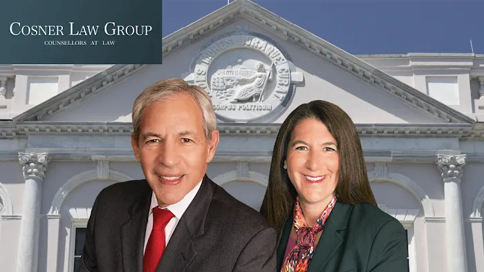 Cosner Law Group 0