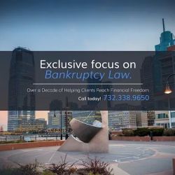 Vaisman Law Office ico