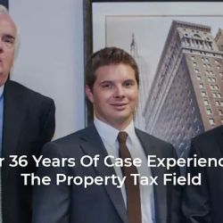 Stavitsky & Associates LLC ico