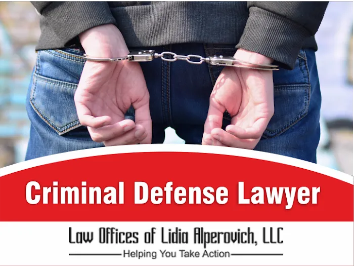 The Law Offices of Lidia Alperovich 7
