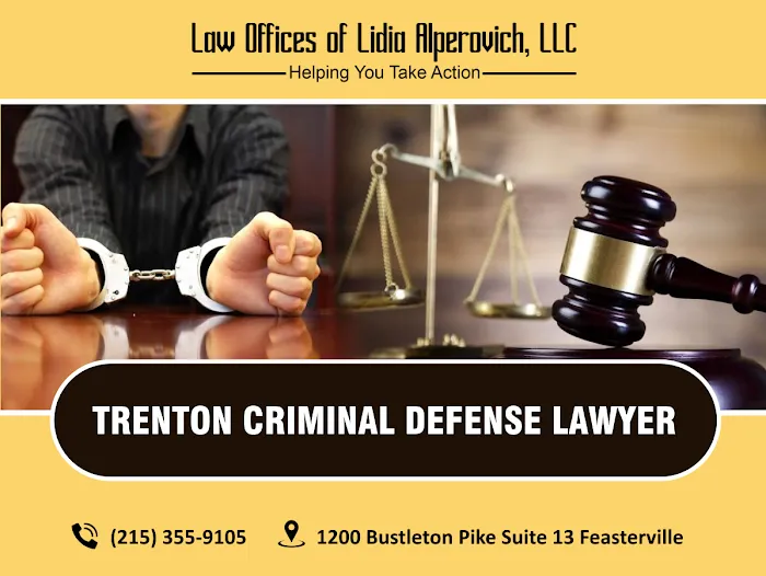 The Law Offices of Lidia Alperovich 8