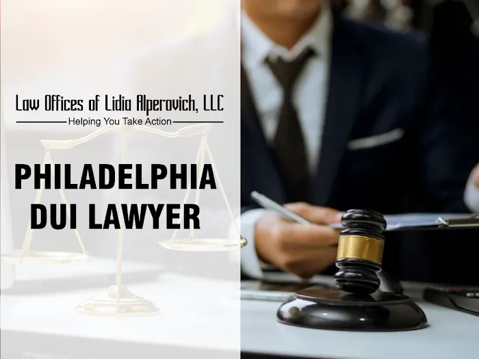 The Law Offices of Lidia Alperovich 9