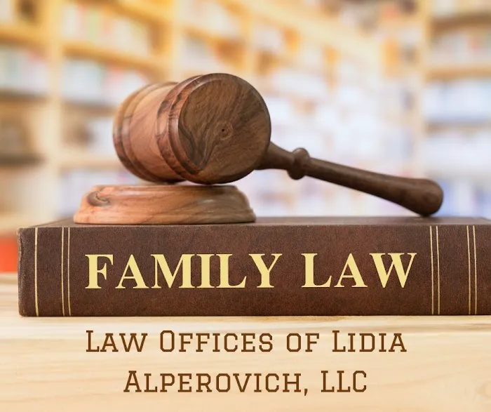 The Law Offices of Lidia Alperovich 0