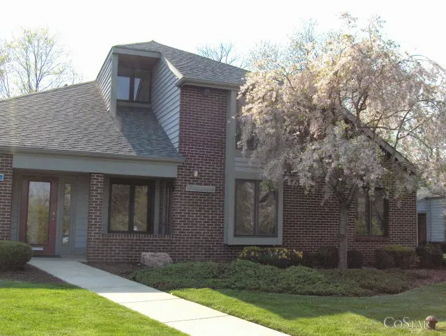 Ilene Young Law Offices 0