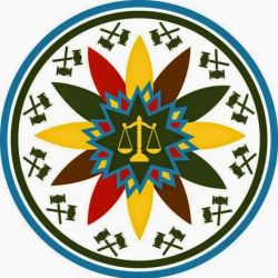 Riddle Patent Law, LLC ico