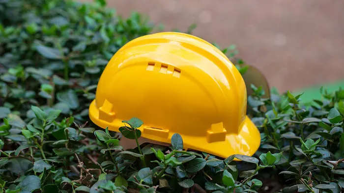 Kaufman Workers' Compensation Law 2