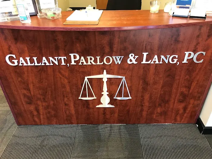 Attorney Paul Lang 3