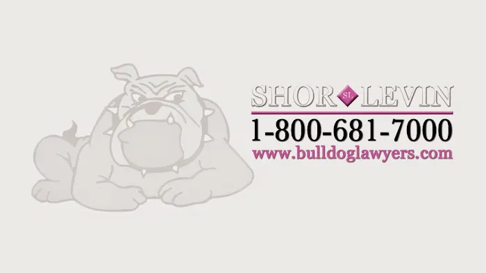 The Bulldog Lawyers 4