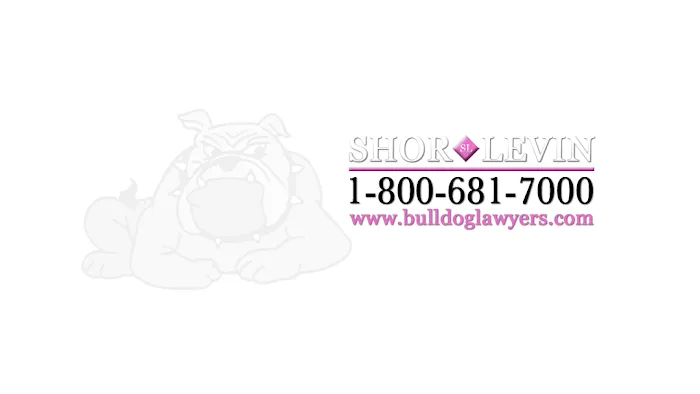The Bulldog Lawyers 5