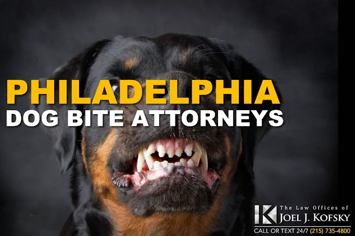 Philly Injury Lawyer - Personal Injury Attorneys 6