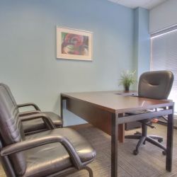 McKenzie Law Firm, P.C. ico