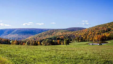 Bleczinski Kleiman & Klein, LLC 3