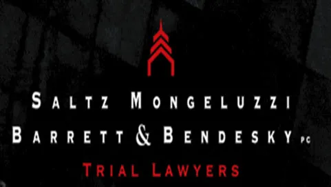 Saltz Mongeluzzi & Bendesky P.C. 5