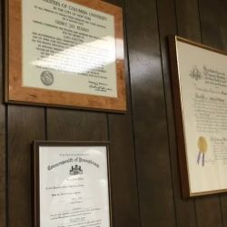 Elman Technology Law PC and Elman IP ico
