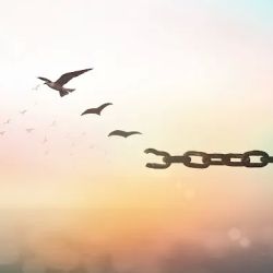 Bankruptcy Lawyers at Bankruptcy Done Right ico